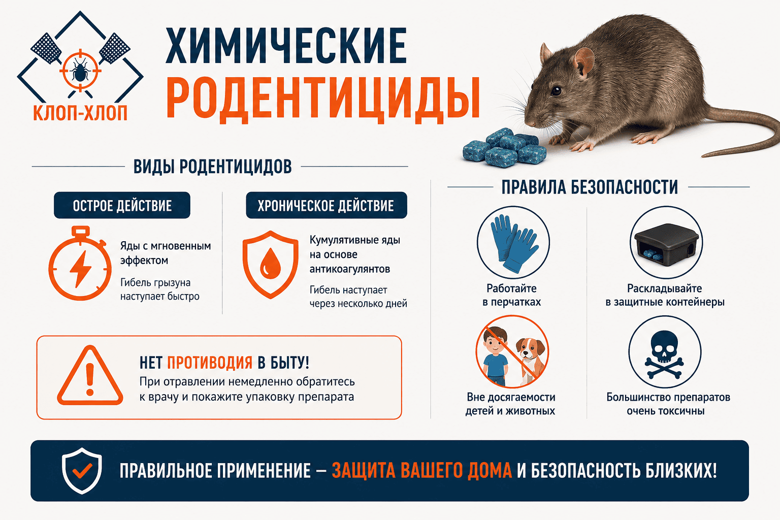 Химические средства от крыс: правила и ограничения